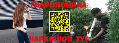 спиды Аргун