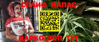 спиды Аргун