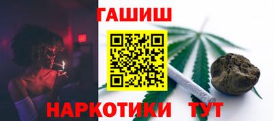 спиды Аргун