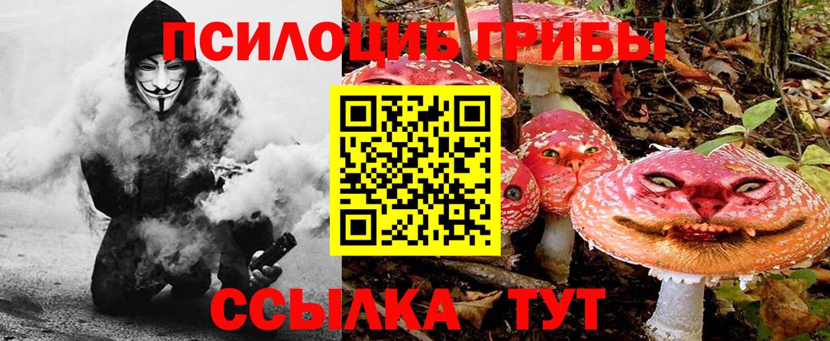 Псилоцибиновые грибы Magic Shrooms Волжский