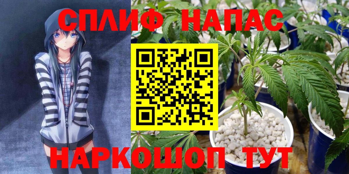 Канабис индика Волжский